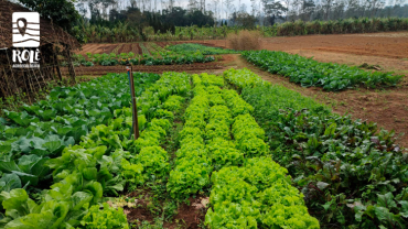 Sítio Takeuti. (+) Estância e Parque Ecológico das Águas..